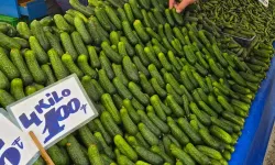 Eskişehir'de turşu sezonu açıldı: Haftaya 10 lira zam