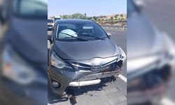 Eskişehir’de yola aniden çıkan koyun kazaya yol açtı