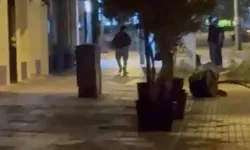 Eskişehir’in en işlek caddesinde şaşırtan görüntüler: Saksıları devire devire ilerledi