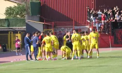 Eskişehirspor'da taşlar yerinden oynayacak