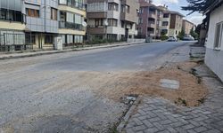 Göztepe Mahallesi'nden Odunpazarı Belediyesine asfalt çağrısı