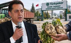 Pancar üreticisinin gözü fiyatta: Beklenti ton başına en az 4500 TL