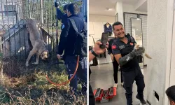 Eskişehir İtfaiyesi can dostlarımızın yardımına koştu