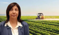 Eskişehir Ziraat Mühendisleri Odası'ndan tarımsal destek tepkisi: "168 milyar TL yetersiz"