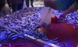 Eskişehir’de balık fiyatları için dikkat çeken açıklama! Vatandaşlara stok tavsiyesi