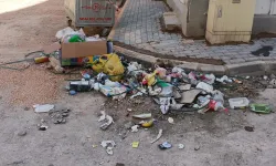 Eskişehir’de mahalle sakinlerini isyan ettiren görüntü: Çöpler sokaklara taşıyor