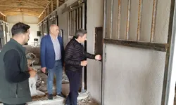 Eskişehir’de merak edilen çalışma: 36 Atlık Barınak Projesi’nde çalışmalar hangi aşamada?