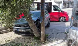 Eskişehir'de otomobil, dolmuşa ve ağaca çarparak durabildi