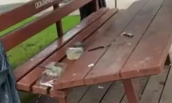 Eskişehir'de vandallar yine iş başında