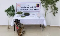 Eskişehir’de zehir operasyonu: Çok sayıda yasaklı madde ele geçirildi