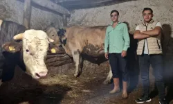 Eskişehir’in “Ateş” ve “Paşa”sı Guinness Rekorlar Kitabı’na hazırlanıyor