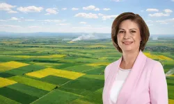 Eskişehir’in suyu ve toprağı için hukuk mücadelesinde kritik karar