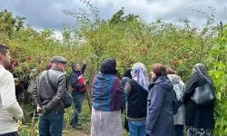 Eskişehirli kadın çiftçiler Kütahya’da kuşburnu ve ahududu üretimini inceledi