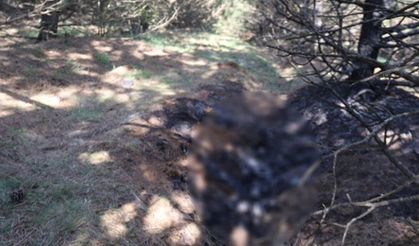 Vahşet anını anlattı: Önce boğmuş sonra 2 gün art arda yakmış