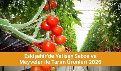 Eskişehir’de Yetişen Sebze ve Meyveler ile Tarım Ürünleri 2026