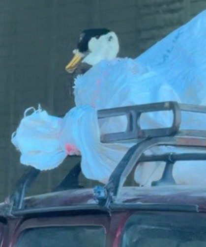 Eskişehir'de bir kaz otomobilin üstünde yolculuk yaptı