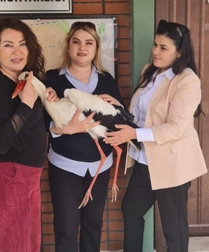 Eskişehir'de leyleğin imdadına hayvanseverler yetişti