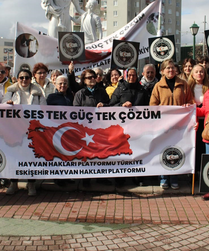 “Eskişehir’de toplanan sokak hayvanlarının akıbeti belli değil”