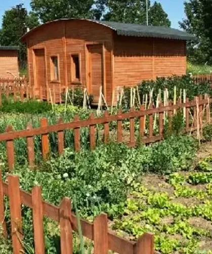 Hobi bahçelerinde kriz sürüyor: Bahçe sahipleri tepkili