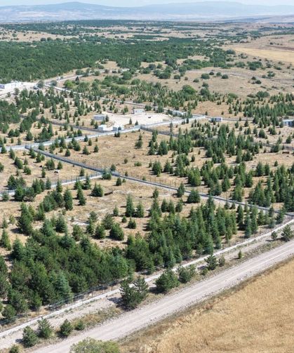 Eskişehir'de patili dostlara yeni yaşam alanı