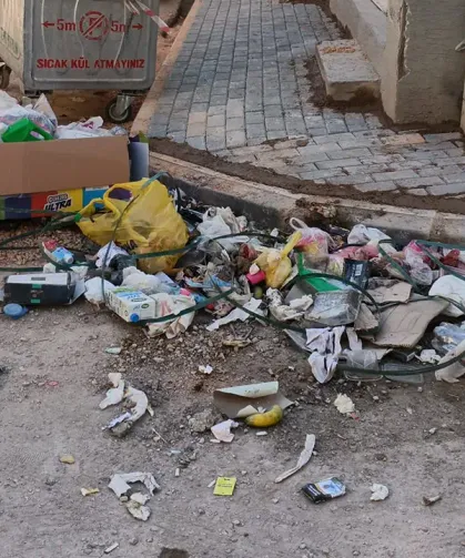Eskişehir’de mahalle sakinlerini isyan ettiren görüntü: Çöpler sokaklara taşıyor