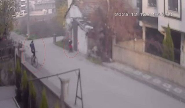 Bebek arabasından 2 milyon TL altın çıktı