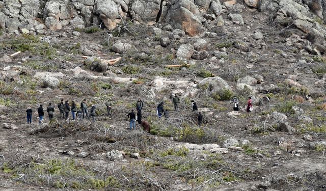 Seyitgazi'de yanan 700 hektar küllerinden yeniden doğacak