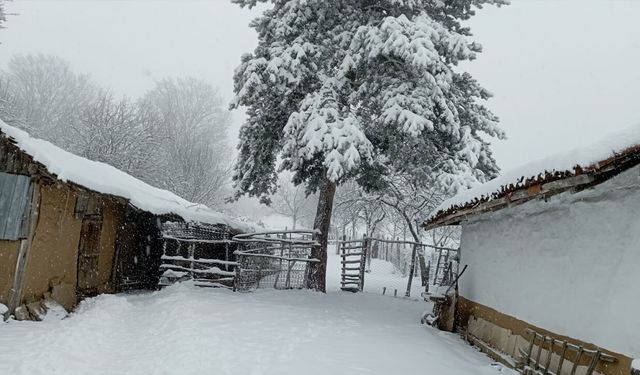 Bilecik'te kar yağışı adeta kartpostallık görüntü yarattı