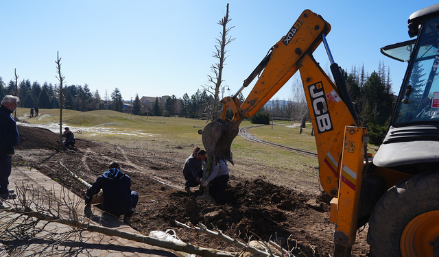 Sazova'da ağaçlandırma çalışması yapıldı