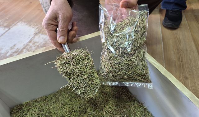 Eskişehir'de aktar esnafından öğrencilere altın tavsiyeler