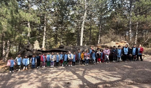 Eskişehir'de minikler doğayı keşfetti