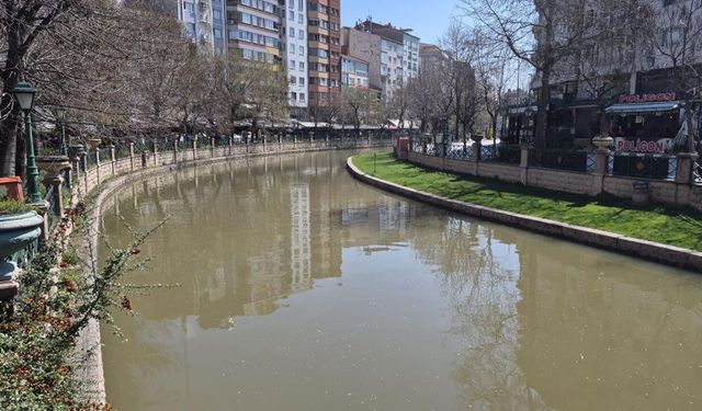 Eskişehir'de Porsuk Çayı renk değiştirdi