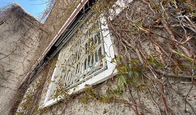 Eskişehir'de "Sarmaşık Camii" yeniden yeşeriyor