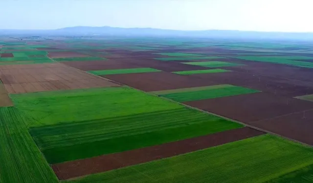 Eskişehir’in tarım arazileri: Veriler bize neyi söylüyor?