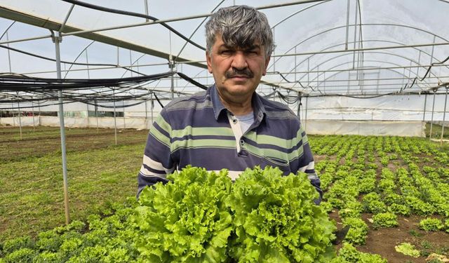 Tarlada 15 tezgâhta 100 lira: Eskişehir'de akıl almaz uçurum!