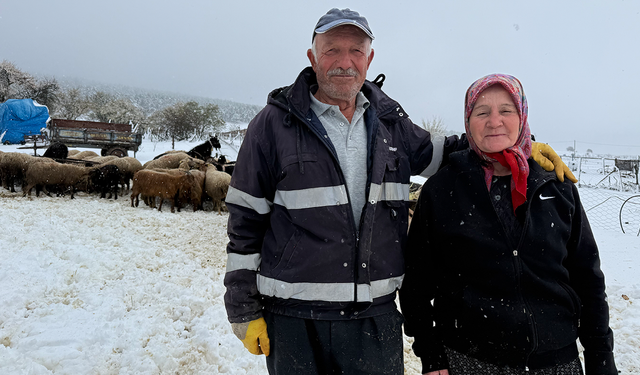 41 yıllık evli çift omuz omuza 100 küçükbaş hayvana bakıyor