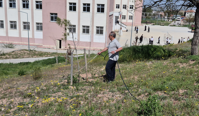 Eskişehir'de örnek davranış: Muhtardan fidanlara hayat veren destek