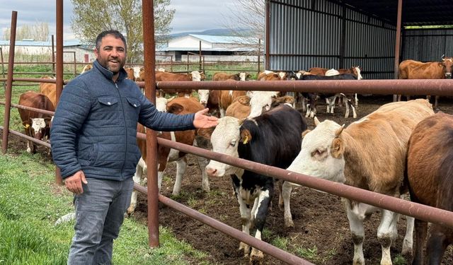 Kurban Bayramı öncesi Eskişehir’de büyükbaş kurbanlıklar tükendi