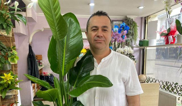 Yaz aylarında çiçek bakımının püf noktaları