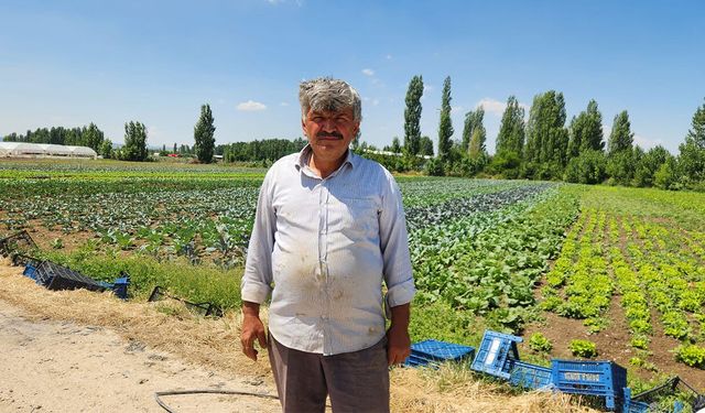 “Tarladan markete makasın bu kadar açılması hırsızlıktır”
