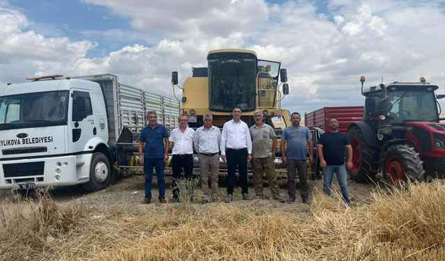 Beylikova’da hububat hasadı sezonu başladı