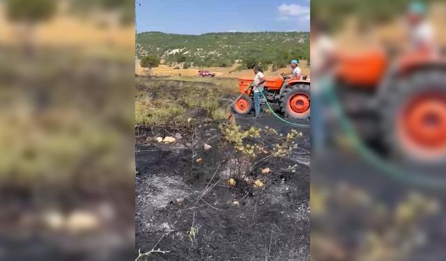 Eskişehir-Kütahya yolunda orman yangını paniği