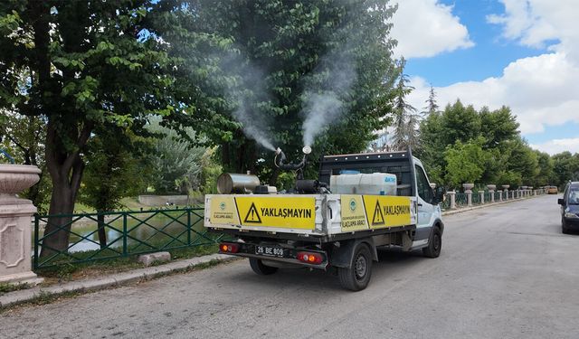Eskişehir Odunpazarı'nda ilaçlama çalışmaları yaz boyu sürecek