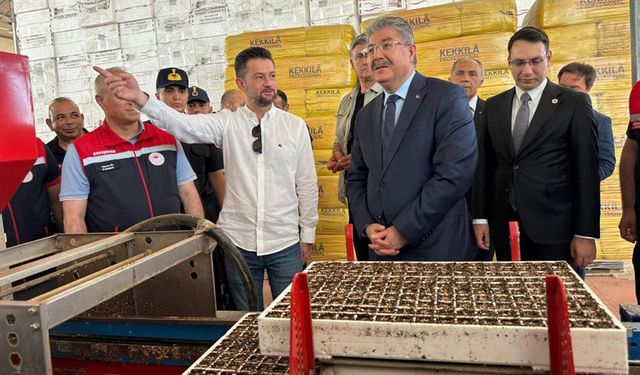 Eskişehir Valisi Yılmaz'dan Sarıcakaya'daki fide tesisine ziyaret