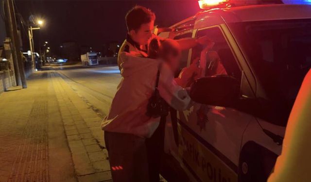 Eskişehir'de ehliyetsiz sürücüye işlem