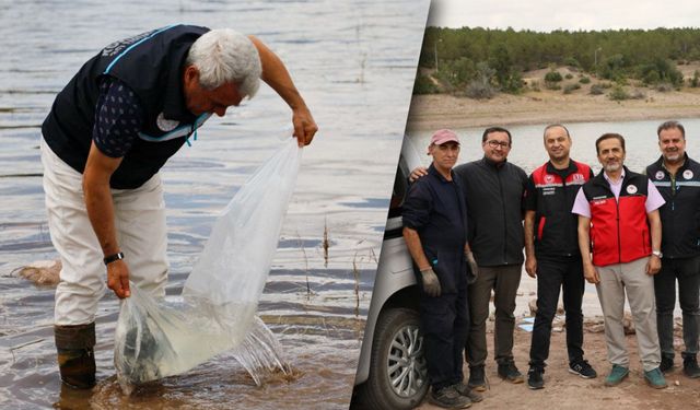 Eskişehir’de Musaözü Göleti'ne 2 bin 500 yayın balığı yavrusu bırakıldı