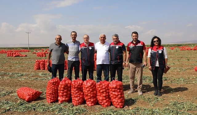 Eskişehir'de soğan hasadı hız kesmeden devam ediyor