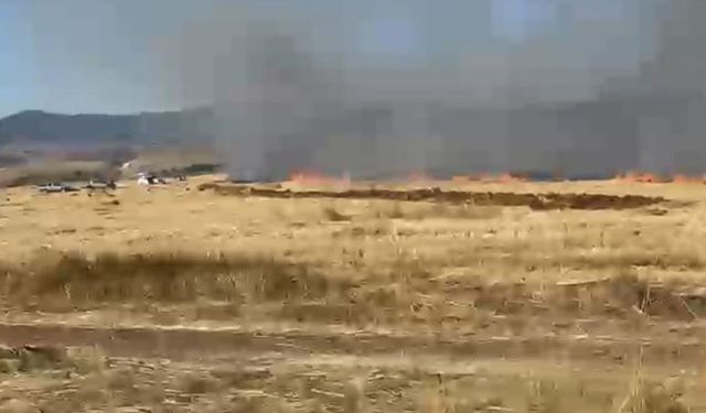 Eskişehir’de tarım arazisinde yangın paniği