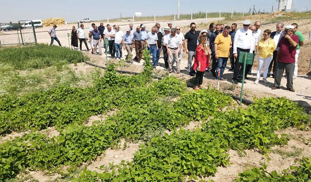 "Tarla Günü"nde 15 farklı çeşit, üreticiyle buluşacak
