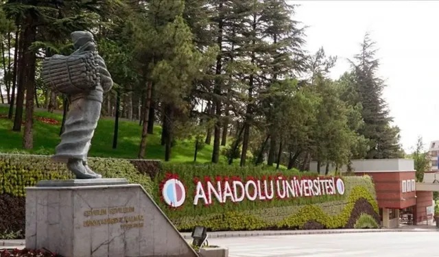 Anadolu Üniversitesi'nin akademik başarısı: Güzel Sanatlar Fakültesi büyük destekçisi
